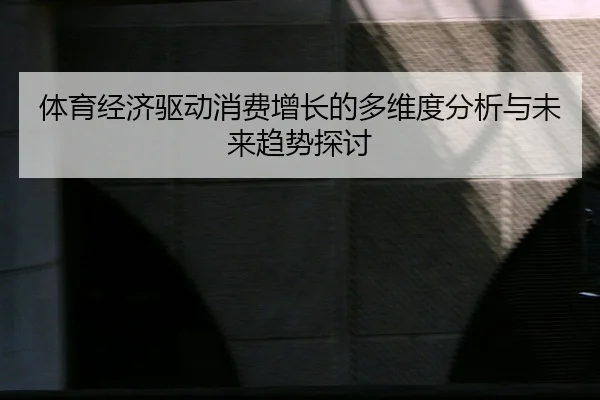 ti-yu-jing-ji-qu-dong-xiao-fei-zeng-zhang-de-duo-wei-du-fen-xi-yu-wei-lai-qu-shi-tan-tao-2-373.jpg